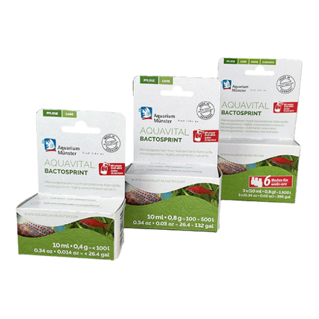 Aquarium M&uuml;nster AQUAVITAL BACTOSPRINT