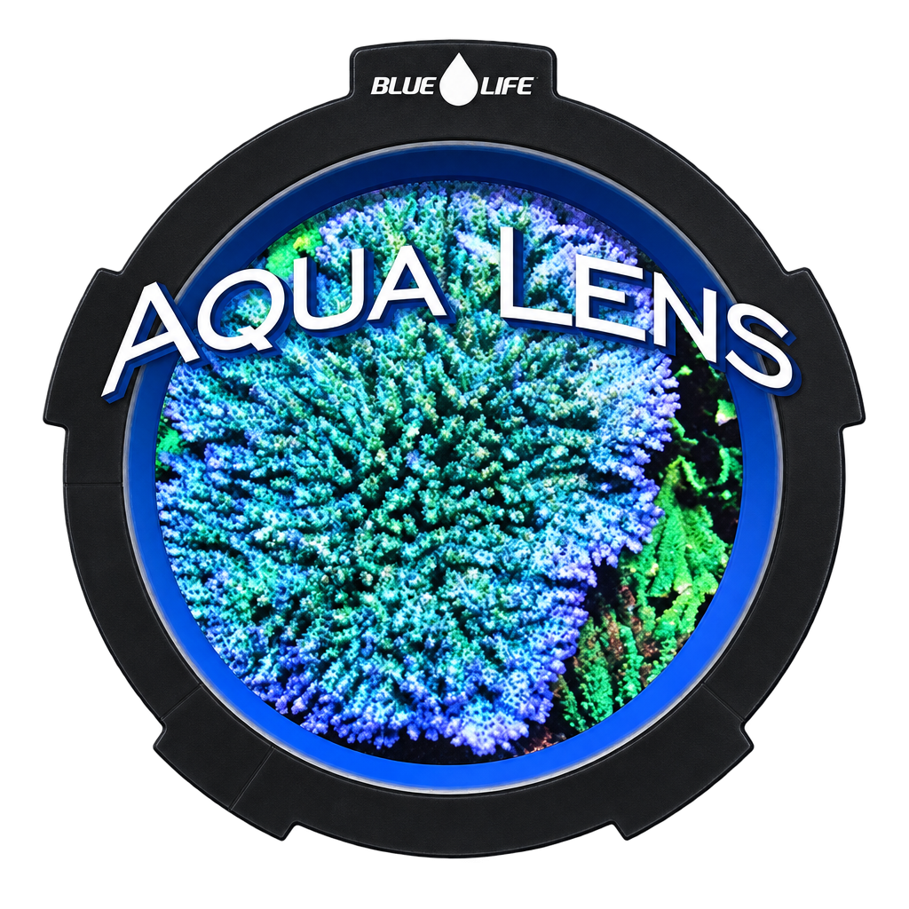 Blue Life USA - Aqua Lens