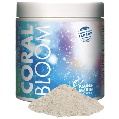 Fauna Marin Coral Bloom