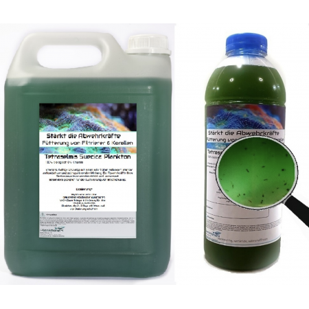 Plankton24 - Tetraselmis Suecica Plankton met zoöplankton - 500 ml