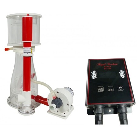 Royal Exclusive Bubble King Double Cone 180 + BK DC 24V