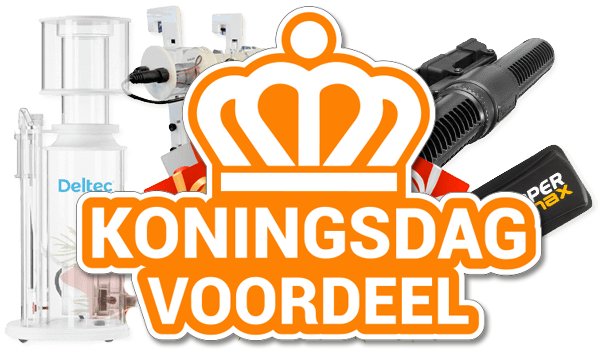 Koningsdag bij Ocean Store